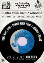 SLENG TENG EXTRAVAGANZA: 30 Years of Digital Reggae Music