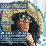 Dub Turbulence