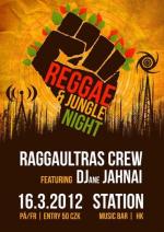 Reggae & Jungle Night