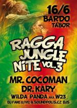 Ragga Jungle Nite vol.III