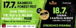 Bamboo forest fest!