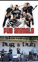 PUB ANIMALS, BUG and DUB