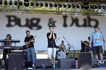 Bug and Dub