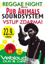 Reggae Night by Pub Animals DJs