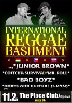 International reggae bashment