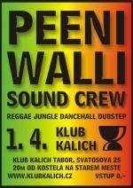 Peeni Walli DJs