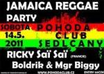 Jamaica Reggae Party